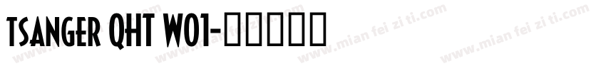 tsanger QHT W01字体转换